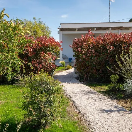 Leomaris טורה דל'אורסו